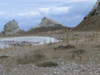 Albums/20060200-New Zealand 2006/20060318-Kaikiura/21